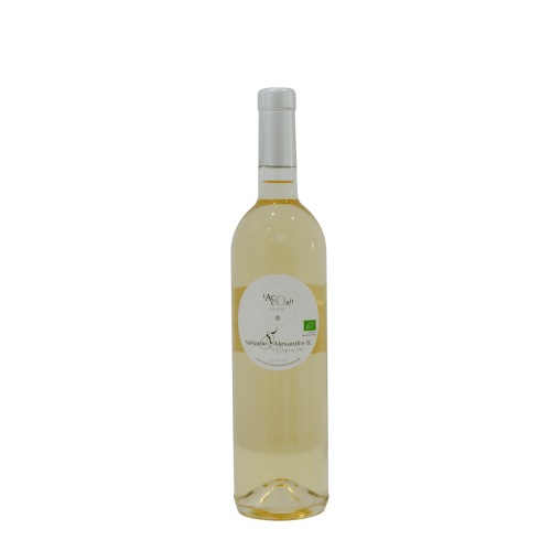 L'accord Blanc ~ IGP Pays d'Oc Bio