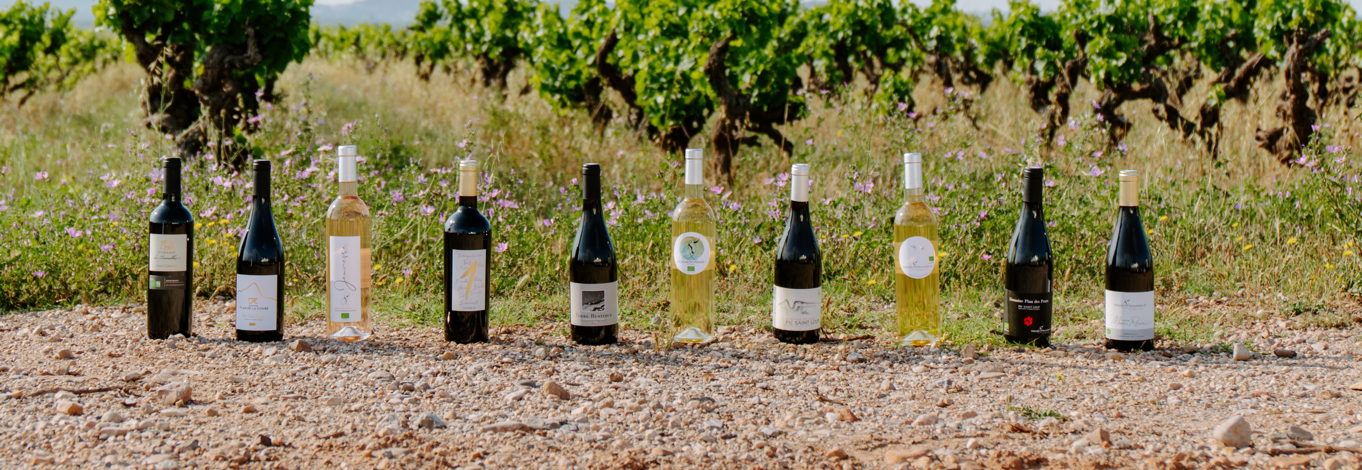 Les vins des Vignobles Boissier